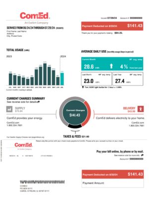 CoMed electric statement from Illinois – modifiable PDF template