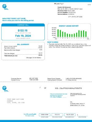 FPL electricity statement from Florida – modifiable PDF template