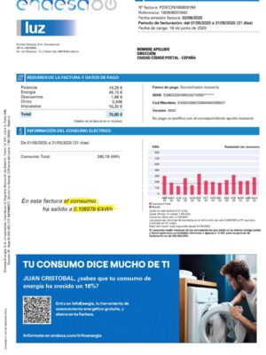 Endesa energy statement from Spain – modifiable PDF template