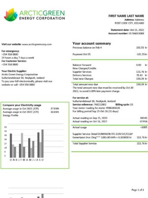 Iceland utility bill template