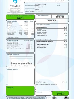 Peru utility bill template