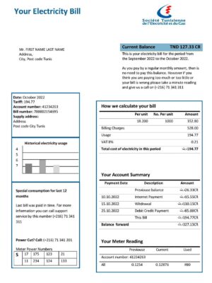 New Template Tunisia elect