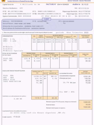 Algeria utility bill template