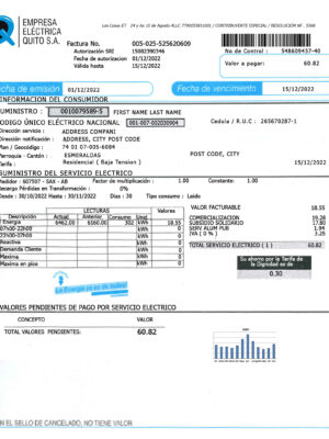 Ecuador utility bill