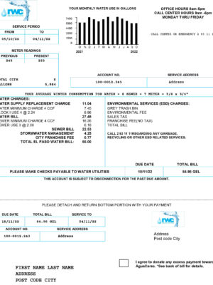 Georgia utility bill