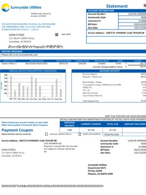 Washington utility bill template