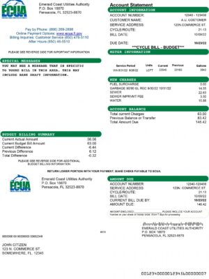 Florida utility bill template