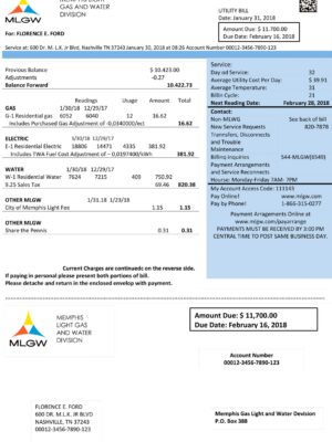 Tennesse utility bill