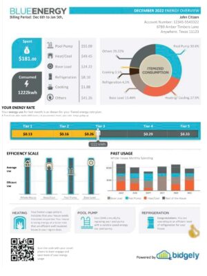 texas utility bill template