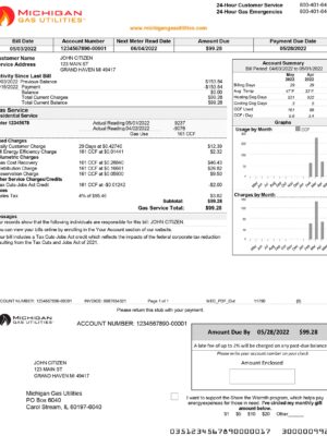 Michigan utility bill for proof of address