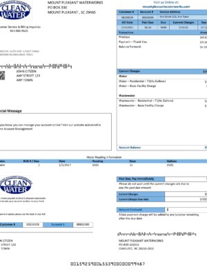 South Carolina utility bill template
