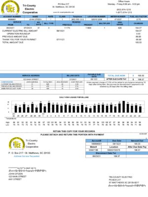 South Carolina utility bill template