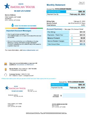 Editable {utility type} bill template – American Water sample in PDF