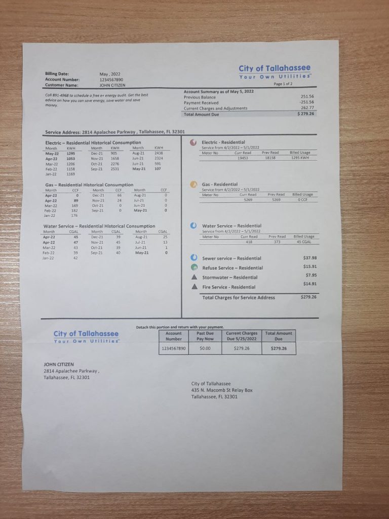 Realistic Florida City of Tallahassee used for verification purposes