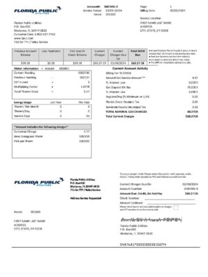 Florida Public electricity statement from Florida – modifiable PDF template