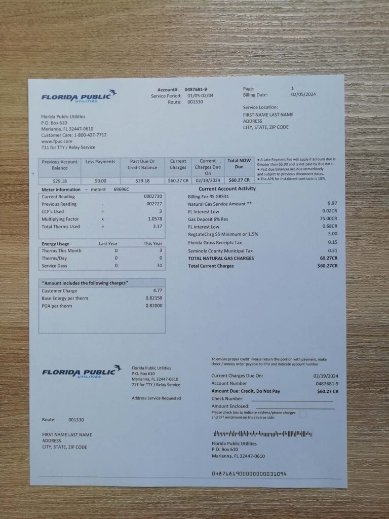 Florida electric Public utility bill