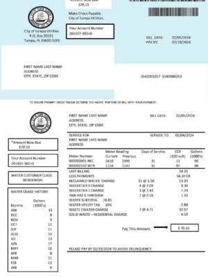 Tampa {utility type} statement from Florida – modifiable PDF template