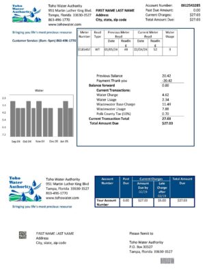 Toho Water Authority statement from Florida – modifiable PDF template