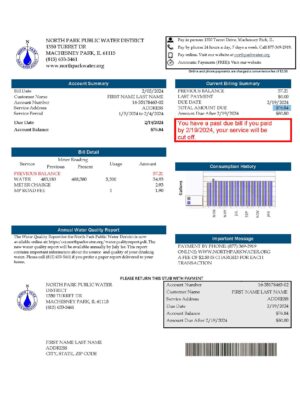 Clean layout of {Provider} {utility type} bill – editable {State} version