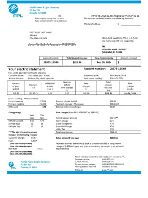 Electricity Clean layout of Florida Power & Light Company (FPL) bill – editable Florida version