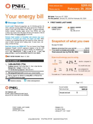 PSEG utility bill from New York – customizable PDF for address proof