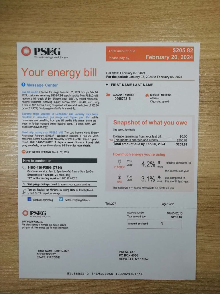 New York PSEG utility invoice on paper for reference