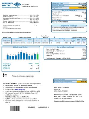Brunswick Electric statement from North Carolina – modifiable PDF template