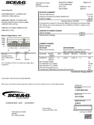 Editable {utility type} bill template – {State} SCE&G sample in PDF