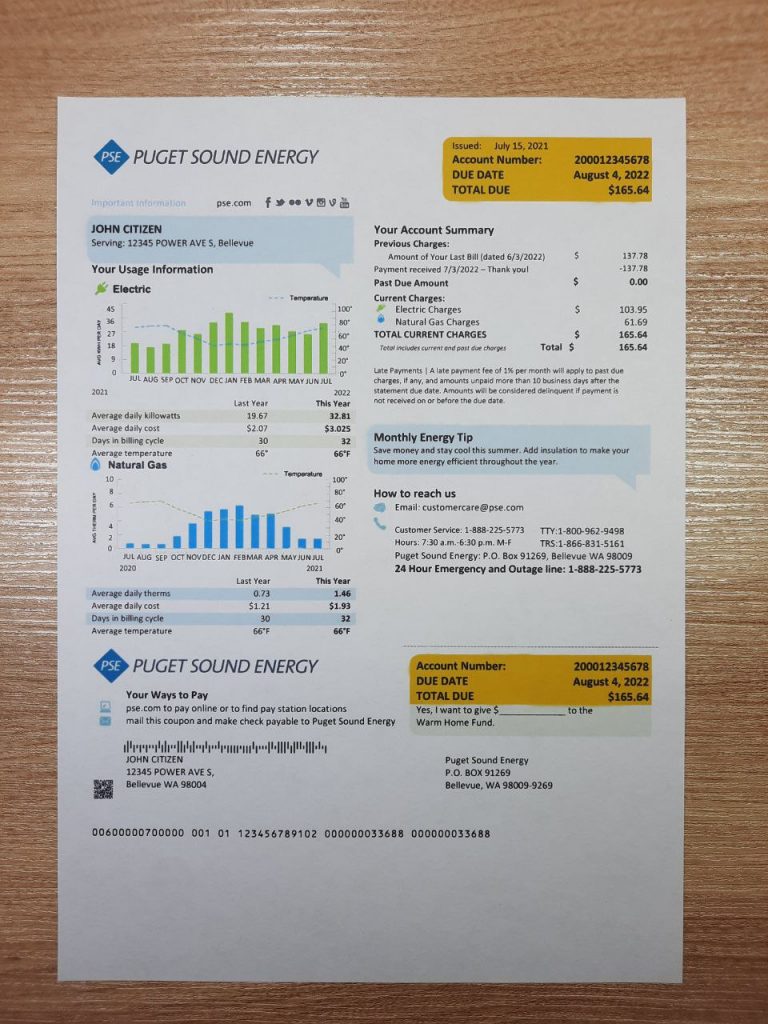 Washington utility bill template