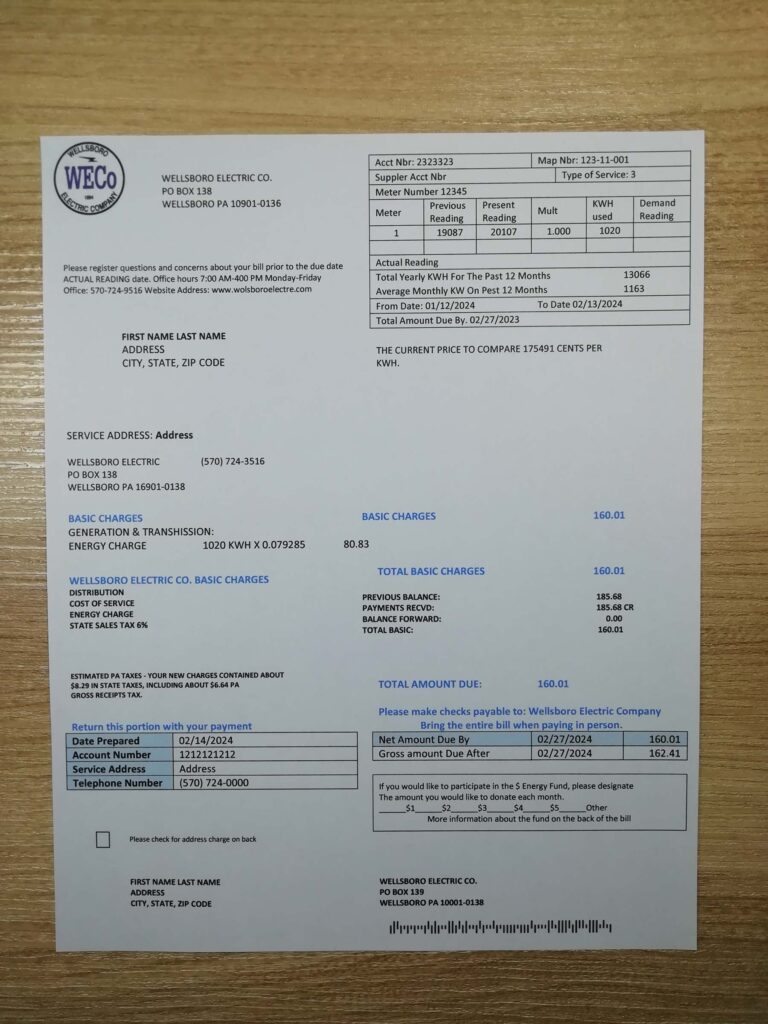 Handheld Pennsylvania Wellsboro Electric statement image for simulation