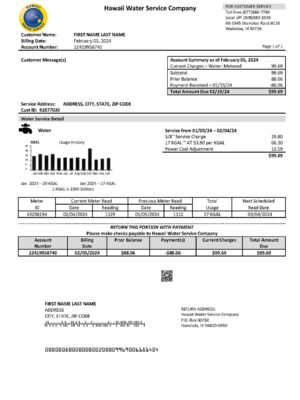 Water Service Editable {utility type} bill template – Hawaii Water Service Company sample in PDF