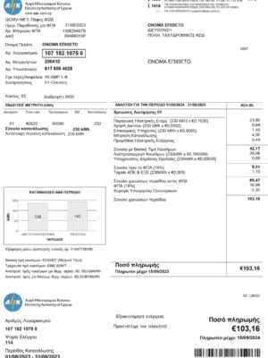 AEK electric statement from Cyprus – modifiable PDF template
