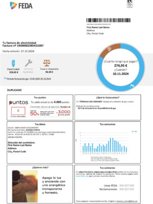 FEDA electric statement from Andorra – modifiable PDF template
