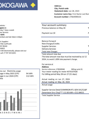 Yokogawa Electric statement from Kazakhstan – modifiable PDF template