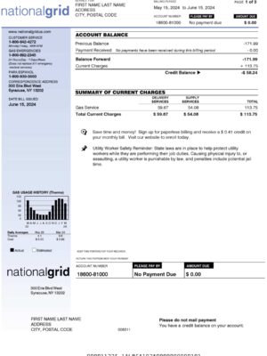 National Grid electricity statement from New York – modifiable PDF template
