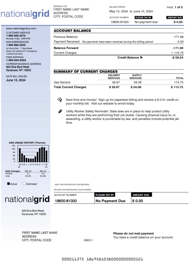 National Grid electricity statement from New York – modifiable PDF template