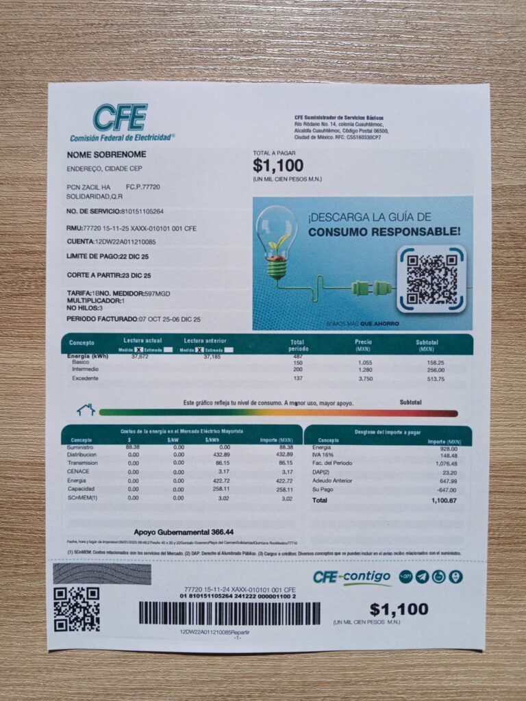 CFE bill printed and photographed – address proof from Mexico