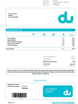 UAE DU Internet A4 utility template – download and edit easily