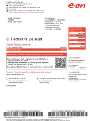 E-ON energy statement from Romania – modifiable PDF template