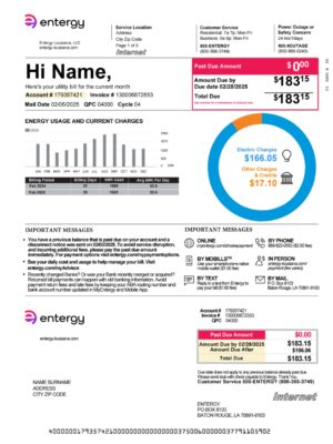 Entergy Utility Bill Mississippi PDF