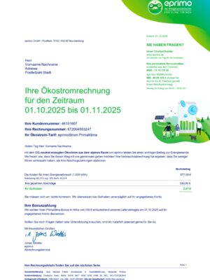 Clean layout of Eprimo Energy bill – editable Germany version