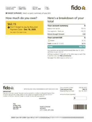 Editable phone bill template – Canada Fido sample in PDF