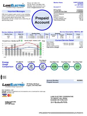 Editable Lane Electric utility bill – Oregon PDF for 2025 testing