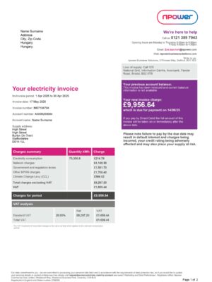 Npower energy statement from Hungary – modifiable PDF template