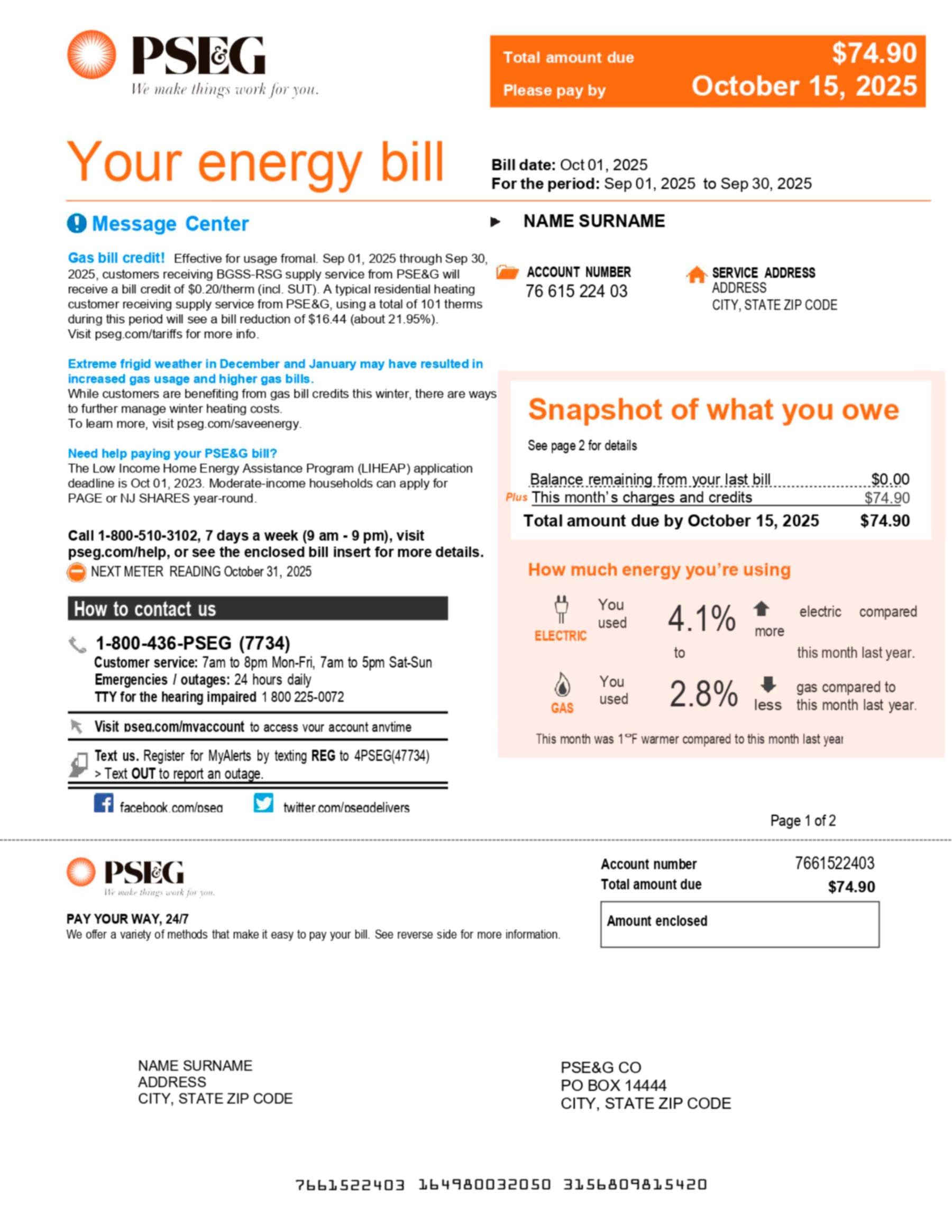 PSE&G utility bill in PDF showing realistic account details, service address, and energy usage summary for demonstration purposes.